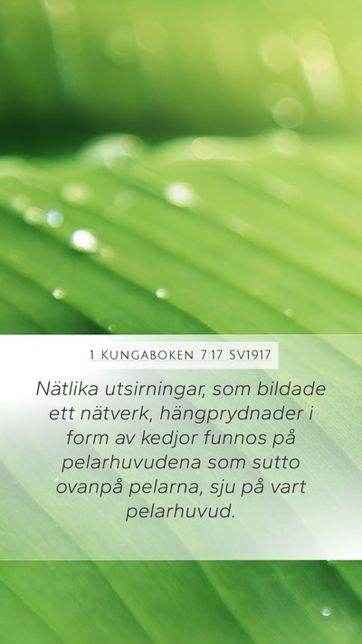 1 Kungaboken 7:17 SV1917 Mobile Phone Wallpaper - Nätlika utsirningar, som bildade ett nätverk, - Mobile Bible Verse Wallpaper