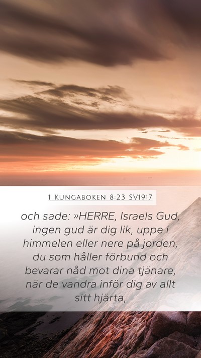 1 Kungaboken 8:23 SV1917 Bible Verse Image