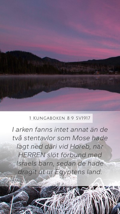 1 Kungaboken 8:9 SV1917 Bible Verse Image