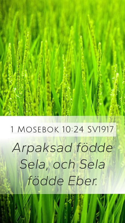 1 Mosebok 10:24 SV1917 Bible Verse Image