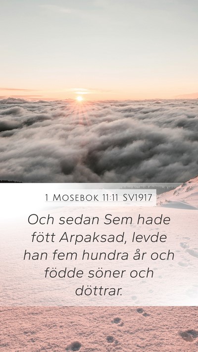 1 Mosebok 11:11 SV1917 Bible Verse Image