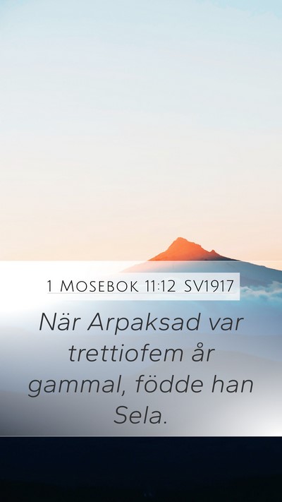 1 Mosebok 11:12 SV1917 Mobile Phone Wallpaper - När Arpaksad var trettiofem år gammal, födde - Mobile Bible Verse Wallpaper