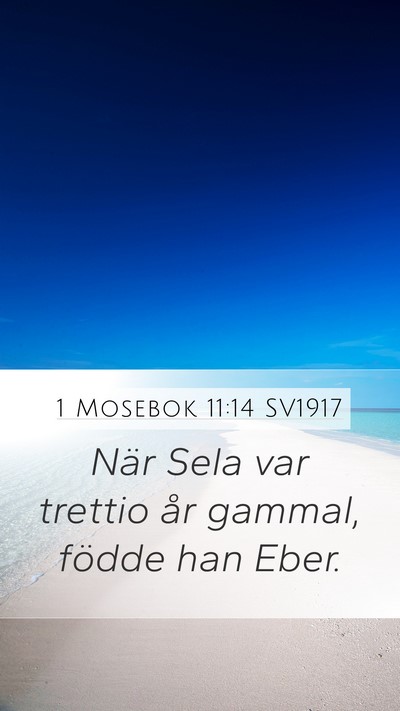 1 Mosebok 11:14 SV1917 Mobile Phone Wallpaper - När Sela var trettio år gammal, födde han - Mobile Bible Verse Wallpaper