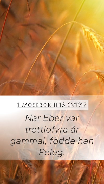 1 Mosebok 11:16 SV1917 Mobile Phone Wallpaper - När Eber var trettiofyra år gammal, födde han - Mobile Bible Verse Wallpaper
