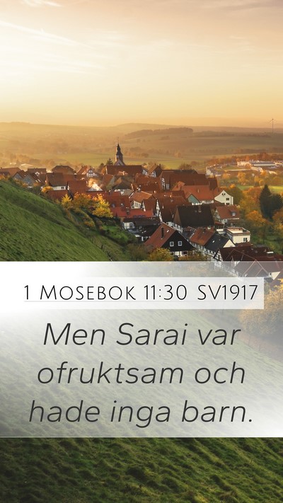 1 Mosebok 11:30 SV1917 Bible Verse Image