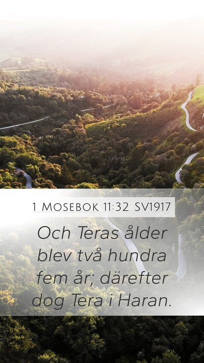 1 Mosebok 11:32 SV1917 Mobile Phone Wallpaper - Och Teras ålder blev två hundra fem år; - Mobile Bible Verse Wallpaper
