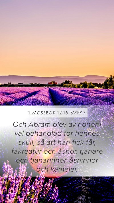1 Mosebok 12:16 SV1917 Bible Verse Image