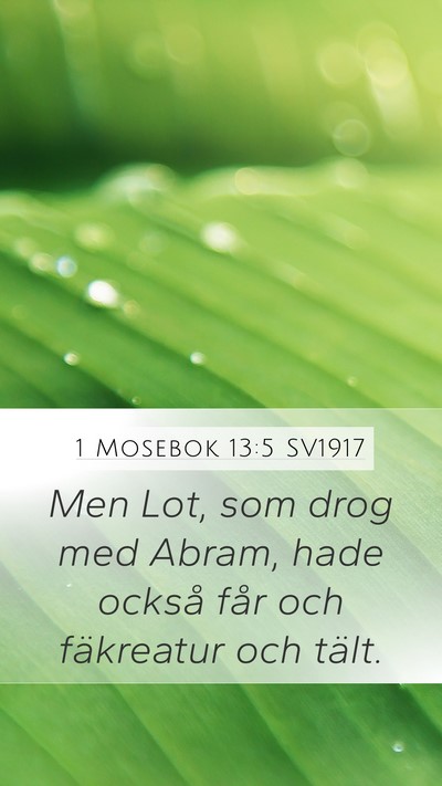 1 Mosebok 13:5 SV1917 Mobile Phone Wallpaper - Men Lot, som drog med Abram, hade också får och - Mobile Bible Verse Wallpaper