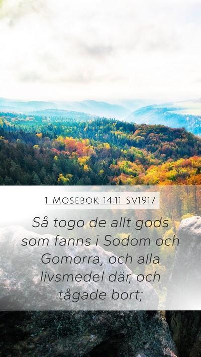 1 Mosebok 14:11 SV1917 Mobile Phone Wallpaper - Så togo de allt gods som fanns i Sodom och - Mobile Bible Verse Wallpaper