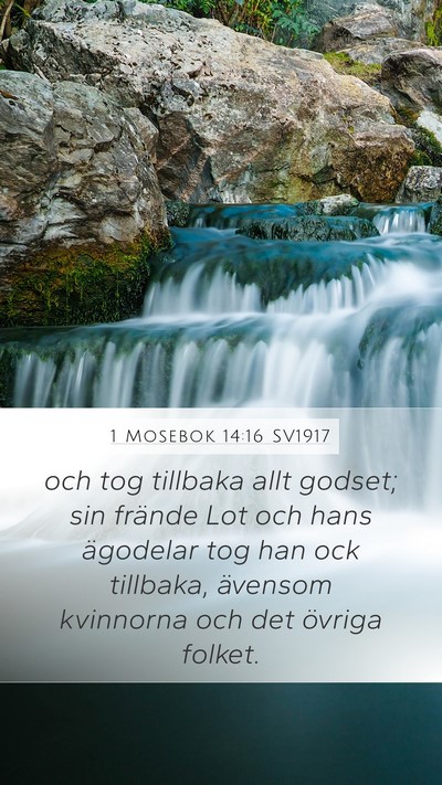 1 Mosebok 14:16 SV1917 Bible Verse Image