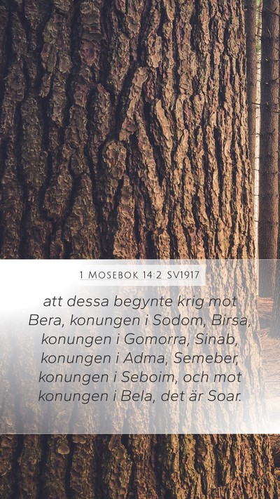 1 Mosebok 14:2 SV1917 Bible Verse Image