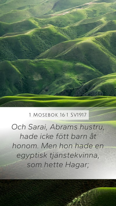 1 Mosebok 16:1 SV1917 Mobile Phone Wallpaper - Och Sarai, Abrams hustru, hade icke fött barn - Mobile Bible Verse Wallpaper