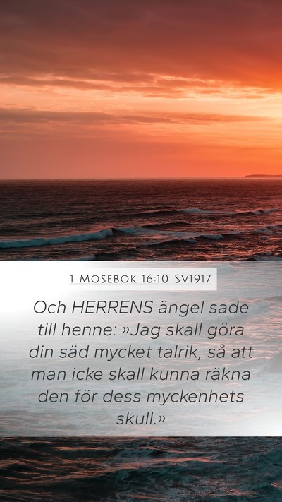 1 Mosebok 16:10 SV1917 Mobile Phone Wallpaper - Och HERRENS ängel sade till henne: »Jag skall - Mobile Bible Verse Wallpaper