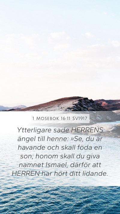 1 Mosebok 16:11 SV1917 Bible Verse Image