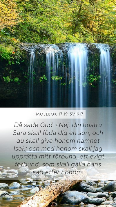 1 Mosebok 17:19 SV1917 Bible Verse Image