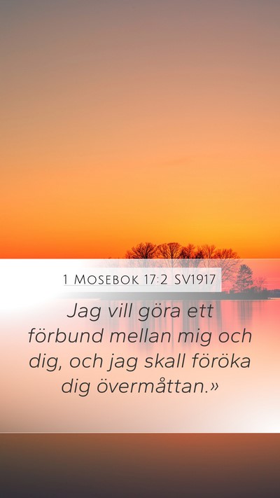 1 Mosebok 17:2 SV1917 Mobile Phone Wallpaper - Jag vill göra ett förbund mellan mig och dig, - Mobile Bible Verse Wallpaper