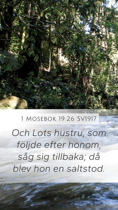 1 Mosebok 19:26 SV1917 Bible Verse Image