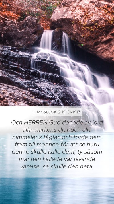 1 Mosebok 2:19 SV1917 Bible Verse Image