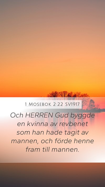 1 Mosebok 2:22 SV1917 Bible Verse Image