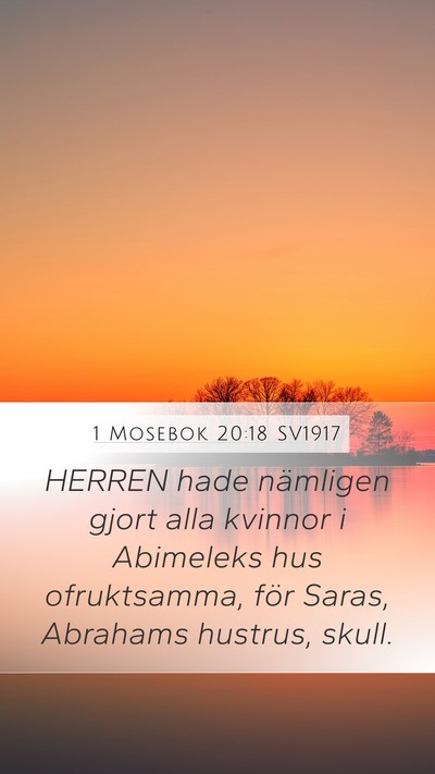 1 Mosebok 20:18 SV1917 Bible Verse Image