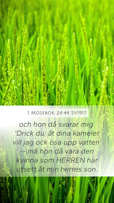 1 Mosebok 24:44 SV1917 Bible Verse Image