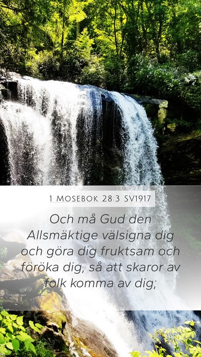 1 Mosebok 28:3 SV1917 Mobile Phone Wallpaper - Och må Gud den Allsmäktige välsigna dig och - Mobile Bible Verse Wallpaper