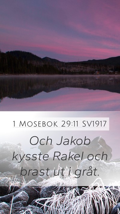 1 Mosebok 29:11 SV1917 Bible Verse Image