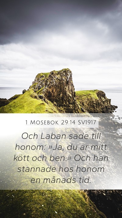 1 Mosebok 29:14 SV1917 Bible Verse Image