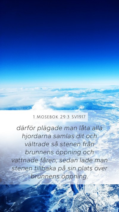 1 Mosebok 29:3 SV1917 Mobile Phone Wallpaper - därför plägade man låta alla hjordarna samlas - Mobile Bible Verse Wallpaper