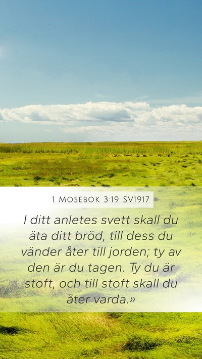 1 Mosebok 3:19 SV1917 Bible Verse Image