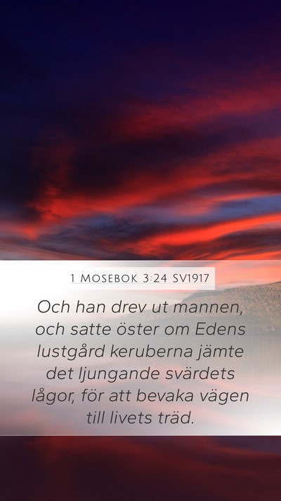 1 Mosebok 3:24 SV1917 Bible Verse Image