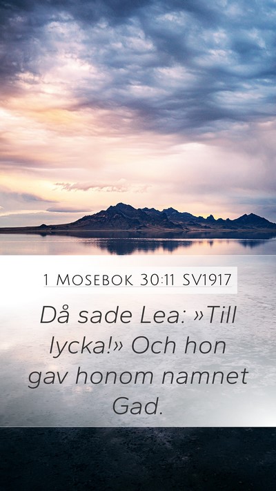 1 Mosebok 30:11 SV1917 Mobile Phone Wallpaper - Då sade Lea: »Till lycka!» Och hon gav honom - Mobile Bible Verse Wallpaper