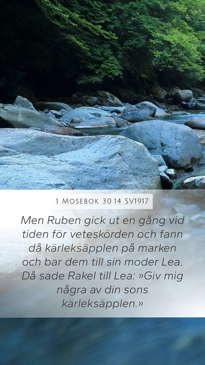 1 Mosebok 30:14 SV1917 Mobile Phone Wallpaper - Men Ruben gick ut en gång vid tiden för - Mobile Bible Verse Wallpaper