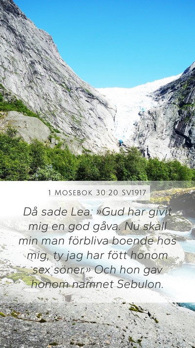 1 Mosebok 30:20 SV1917 Bible Verse Image