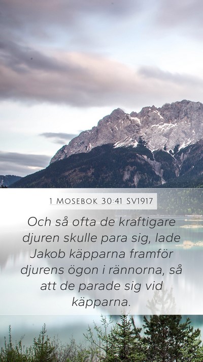 1 Mosebok 30:41 SV1917 Mobile Phone Wallpaper - Och så ofta de kraftigare djuren skulle para - Mobile Bible Verse Wallpaper