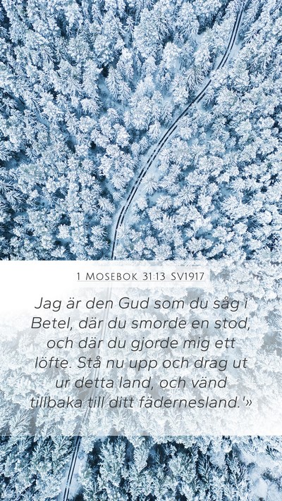 1 Mosebok 31:13 SV1917 Bible Verse Image