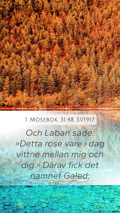 1 Mosebok 31:48 SV1917 Bible Verse Image