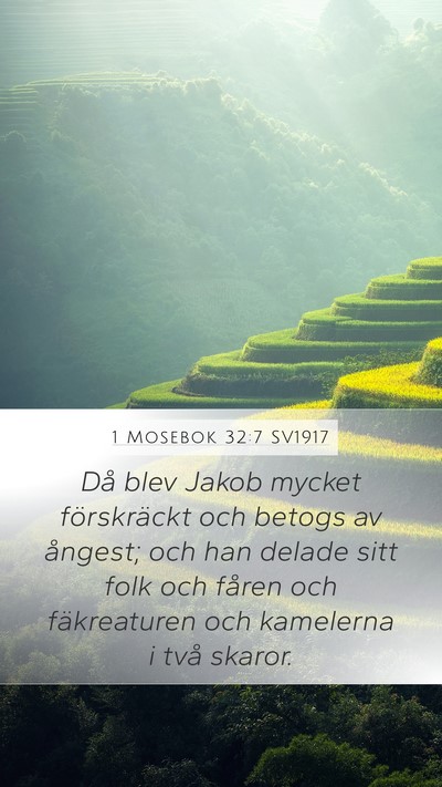 1 Mosebok 32:7 SV1917 Mobile Phone Wallpaper - Då blev Jakob mycket förskräckt och betogs av - Mobile Bible Verse Wallpaper
