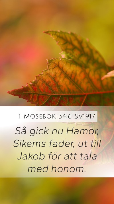 1 Mosebok 34:6 SV1917 Mobile Phone Wallpaper - Så gick nu Hamor, Sikems fader, ut till Jakob - Mobile Bible Verse Wallpaper
