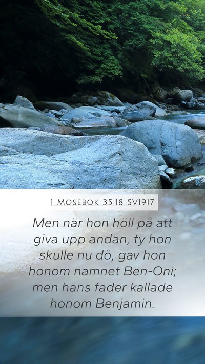 1 Mosebok 35:18 SV1917 Bible Verse Image