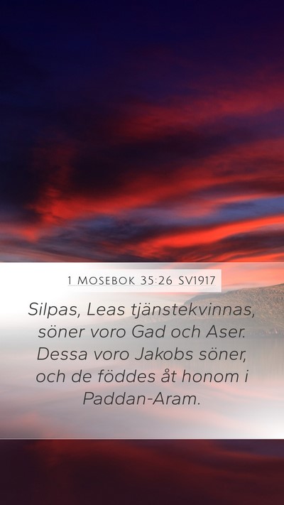 1 Mosebok 35:26 SV1917 Bible Verse Image