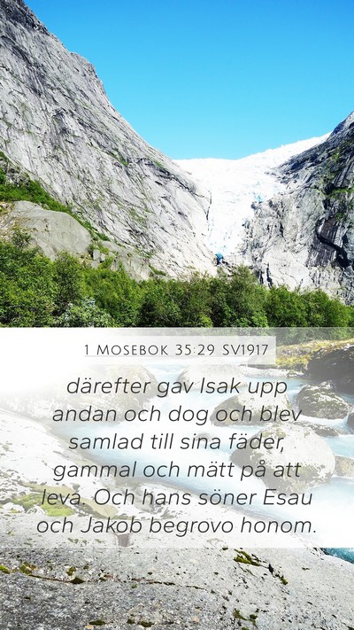 1 Mosebok 35:29 SV1917 Bible Verse Image
