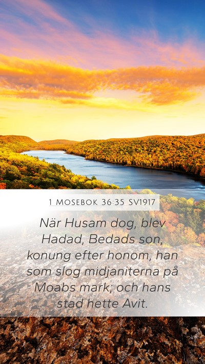1 Mosebok 36:35 SV1917 Bible Verse Image
