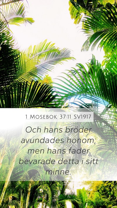 1 Mosebok 37:11 SV1917 Bible Verse Image
