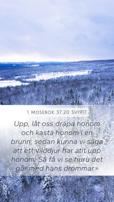 1 Mosebok 37:20 SV1917 Bible Verse Image