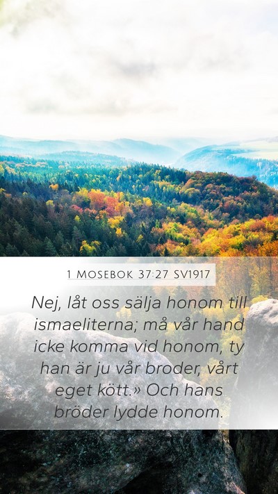 1 Mosebok 37:27 SV1917 Bible Verse Image