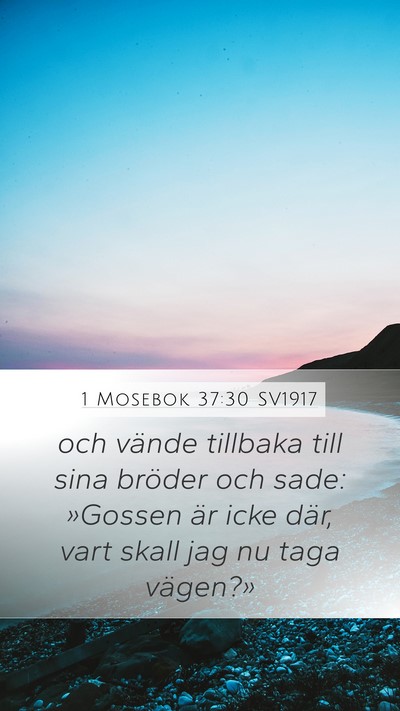 1 Mosebok 37:30 SV1917 Mobile Phone Wallpaper - och vände tillbaka till sina bröder och sade: - Mobile Bible Verse Wallpaper