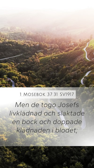 1 Mosebok 37:31 SV1917 Bible Verse Image