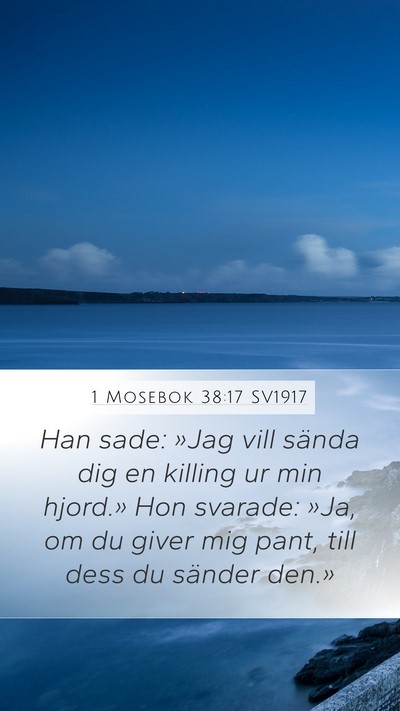 1 Mosebok 38:17 SV1917 Bible Verse Image