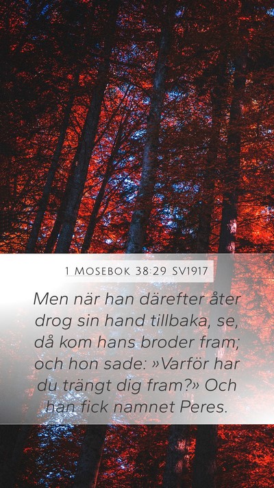 1 Mosebok 38:29 SV1917 Bible Verse Image